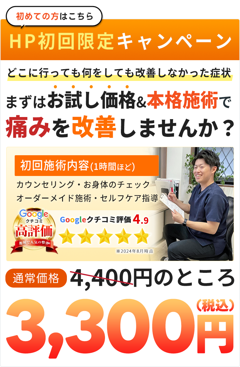 HP初回限定料金：3,300円