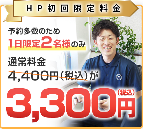 HP初回限定料金：3,300円